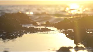 [힐링음악 71편] (아름다운 저녁해변가) 머리가 맑아지는 풍경 #1시간 #힐링음악 #명상음악 #아름다운 저녁해변가