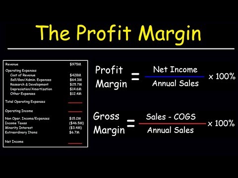 Profit Margin, Gross Margin, and Operating Margin - With Income Statements Video