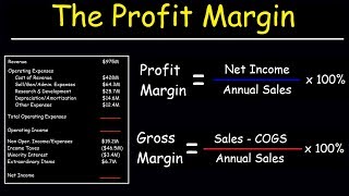 Download lagu Profit Margin Gross Margin and Operating Margin Wi... mp3