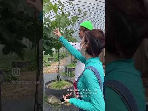 すぐに自分の果樹園を作るには、ポーチの真下にどの果樹を植えるべきでしょうか?  庭園