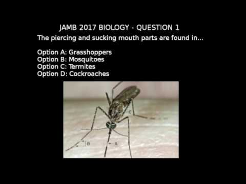 Q1 - JAMB Biology 2017 Past Questions and Answers