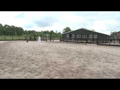 Locatiekeuring | Stal Sibma | 13 juni 2026