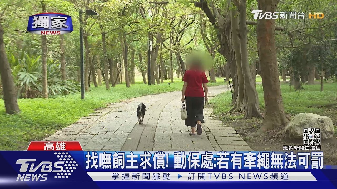 控飼主狗咬傷人不理　害街友傷惡化恐截肢