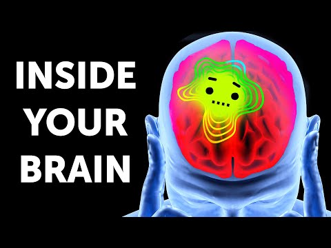 A Journey Inside Your Brain
