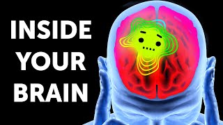 A Great Journey Inside Your Brain