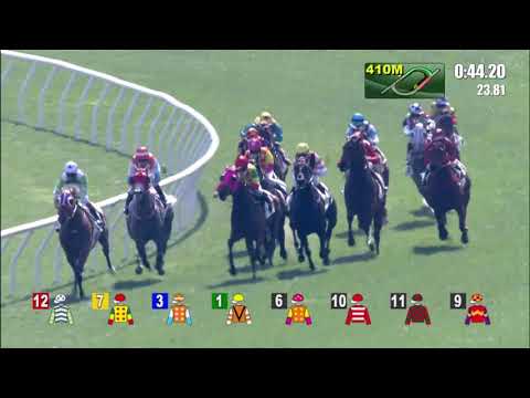 6/2/2021 (405) Judy's Star - Derek Leung