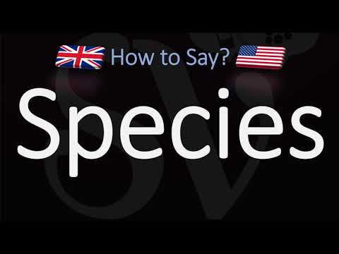 How to Pronounce Species? (CORRECTLY) Meaning & Pronunciation