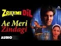 Zakhmi Dil Ae Meri Zindagi Full Audio Song Akshay Kumar Ashwini Bhave
