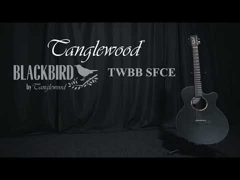 Tanglewood Guitars Blackbird TWBB SFCE - Official Demo