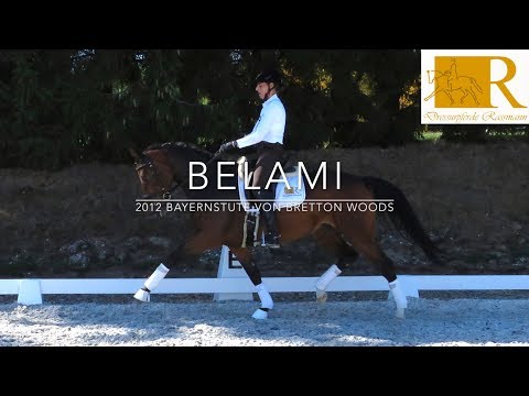 SOLD!! Dressurpferd - 2012 Bayernstute von Bretton Woods, Stm. ca. 1,65, L-Dressur - Belami