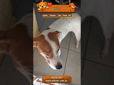 Vídeo de Johnny