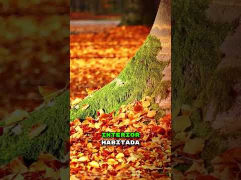 LEOPOLDO LUGONES - El canto de la angustia 2