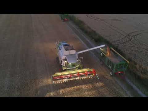 Claas Lexion 570 im Sonnenuntergang in der Hildesheimer Börde