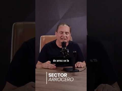 Luis Monge: El sector arrocero en #Guayas.  #Daule #Salitre #Samborondón #Balzar  #Guayaquil