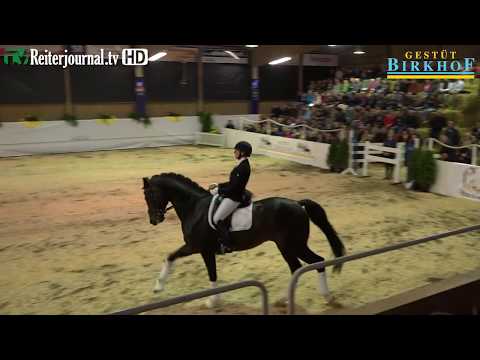 Hengstpräsentation Gestüt Birkhof, 04  März 2017 Vimeo 720p