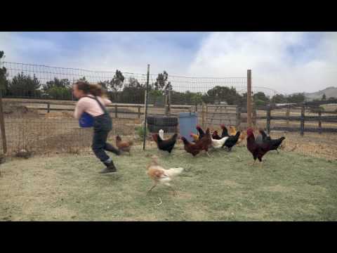 Trailer-Vorschau: Für immer beste Freunde