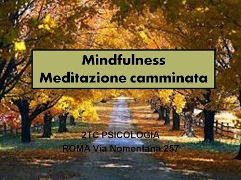 Meditazione camminata-Mindfulness