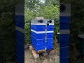 Anel plastic insulated beehive #honeybees #beecolony #candleman ￼