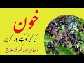 Anemia Treatment In Urdu Khoon Ki Kami Ka Ilaj Hb Ki Kami Ka Ilaj Dramiriqbal
