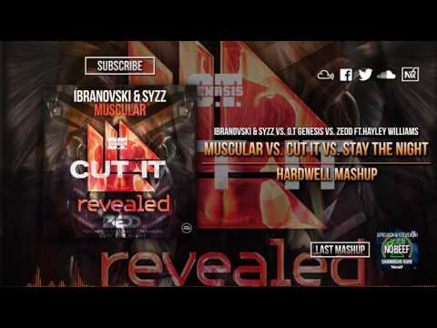 Cut It vs.Stay The Night vs.Muscular (Hardwell Mashup)(HOA YearMix 2016)