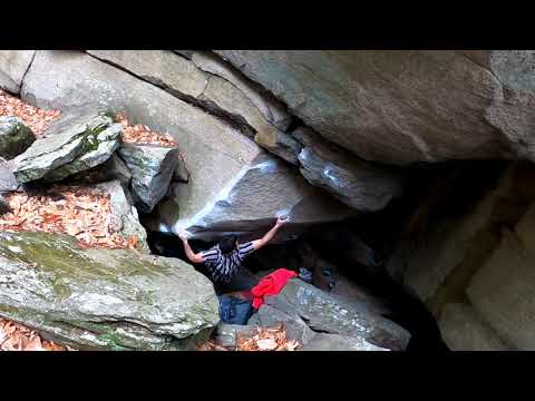 Stereogram V10 - Connor Matsubara