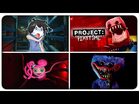 DIVENTO HUGGY WUGGY E MOMMY LONG LEGS E TERR0RIZZO TUTTI I GIOCATORI | Project Playtime