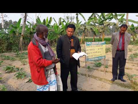 বিটি বেগুনের প্রদর্শনী পরিদর্শন-১