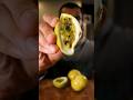 Let S Try Honey Passion Fruit