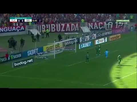 Flamengo X Goiás Gols e melhores momentos  6X1