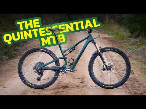 Stumpjumper 15 Long-Term Review | One Bike To Do It All?
