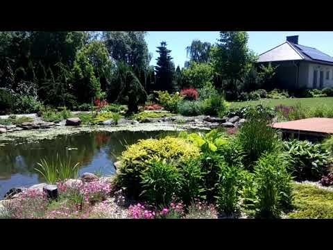 Ogród ze stawem i wodospadem