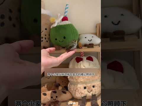 女子在路边发现一只被遗弃的小猫，身旁却有一只小鸟寸步不离！ #animals #奇妙的動物