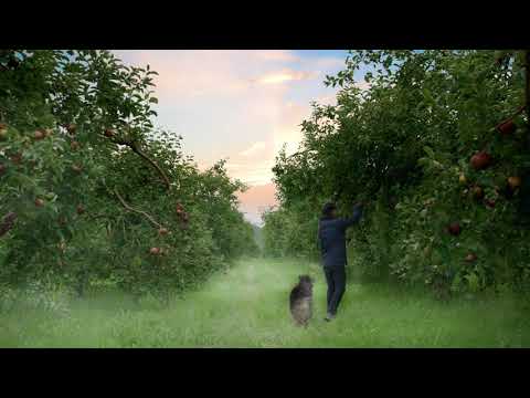Cidre Lacroix - Customer Success Story