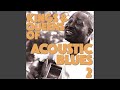 Cold Weather Blues - Muddy Waters - Topic Cold Weather Blues