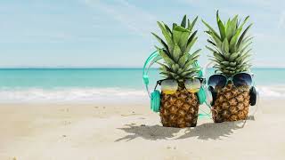 Silent Partner - Summer Smile