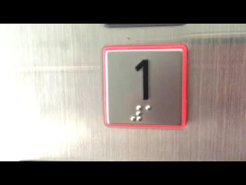 Annoying Chime Trick 😈 | Schindler 3300 MRL @ 11-15 Vivian St, Wellington CBD