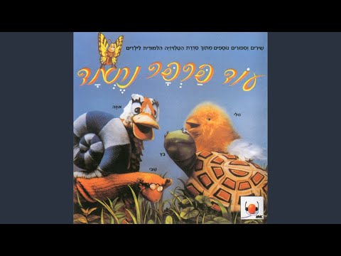 איה-מיאו-הב הב הב!