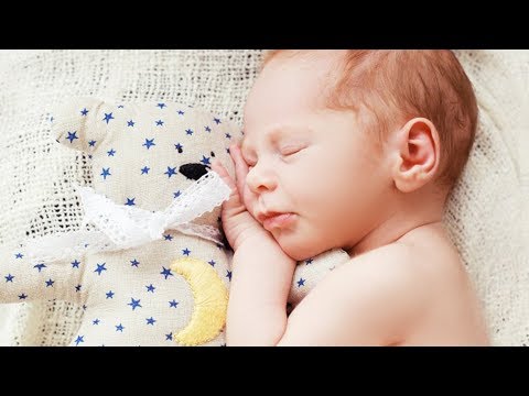 你意想不到的冷知識：做夢 (The Most Bizarre Facts About Your Dreams)