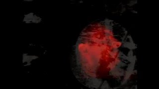 Wharf Rat\Terrain\Dead Covers Project 2016