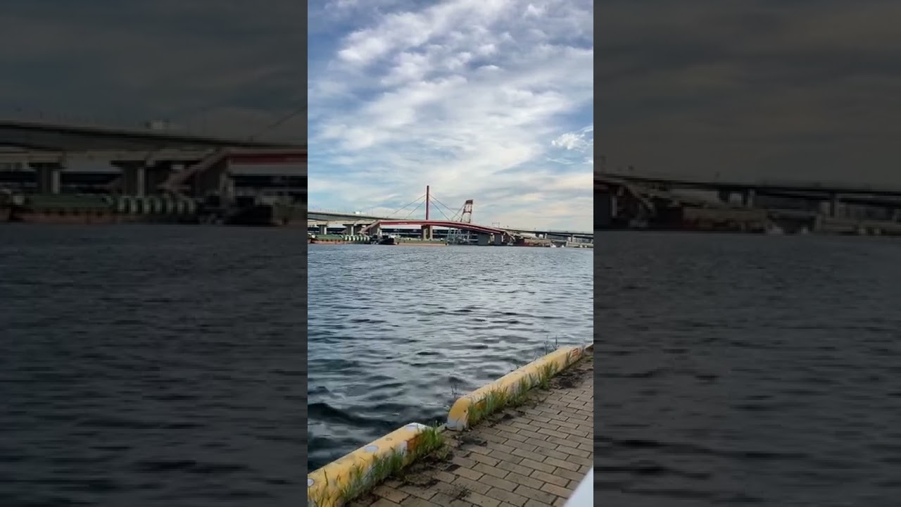 YouTube Short thumbnail