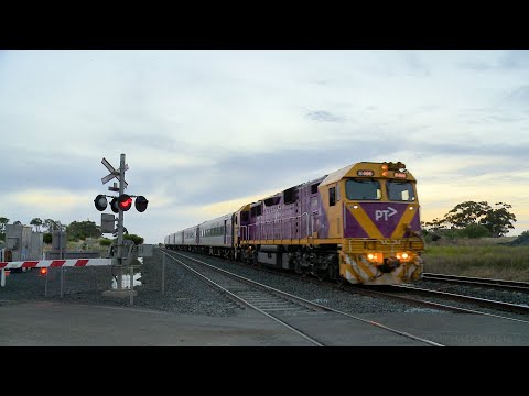 Lots Of Vline Trains At Cherry Swamp Road Railway Crossing (4/12/2020) - PoathTV Australian Railroad