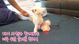 보조기구ㆍ의료기기