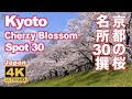 4K Japan Kyoto Cherry Blossom Spot 30（sakura) 京都の桜名所30 京都観光 旅行 案内 清水寺 平安神宮 