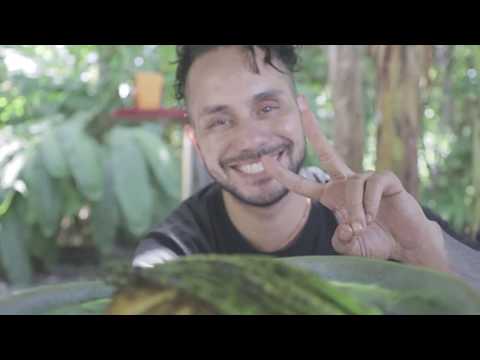 Charred BBQ Trevally, Aromatic Rice with Tumeric Coconut