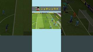 ショボシュライが強すぎる！！