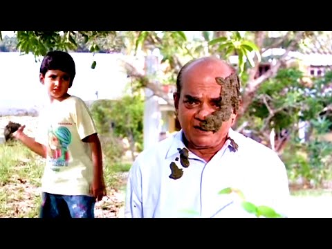 എന്താ അത്? ചാണാൻ ... അശ്രീകരം | Sankaradi | Badusha | Mammootty | Suresh Gopi - Pappayude Swantham