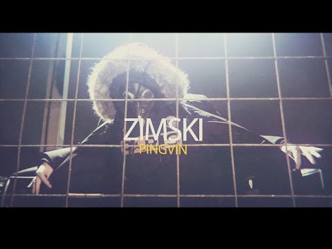 ZIMSKI | Pingvin 🐧(Official video)❄️