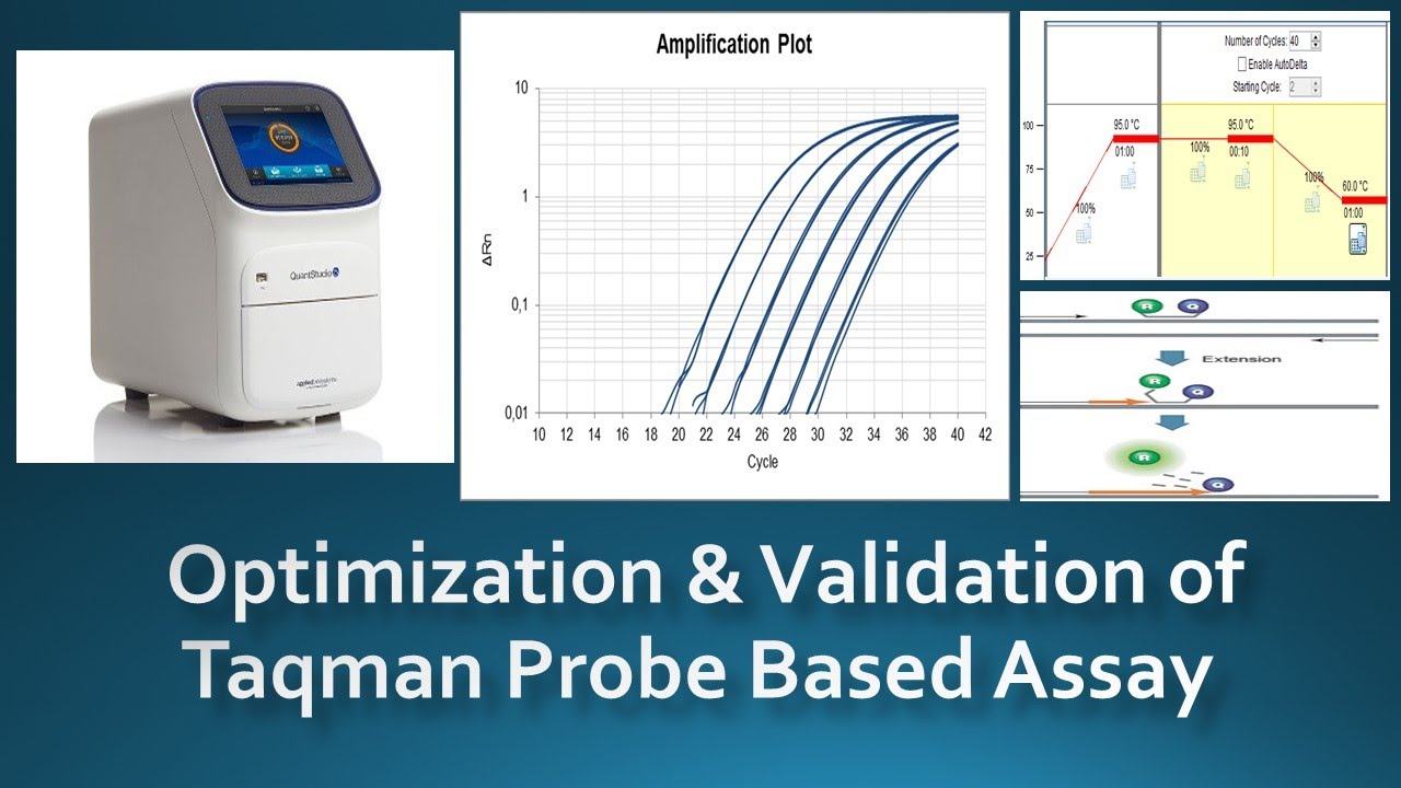 Real Time PCR: Optimization & Validation of Taqman Probe based assays