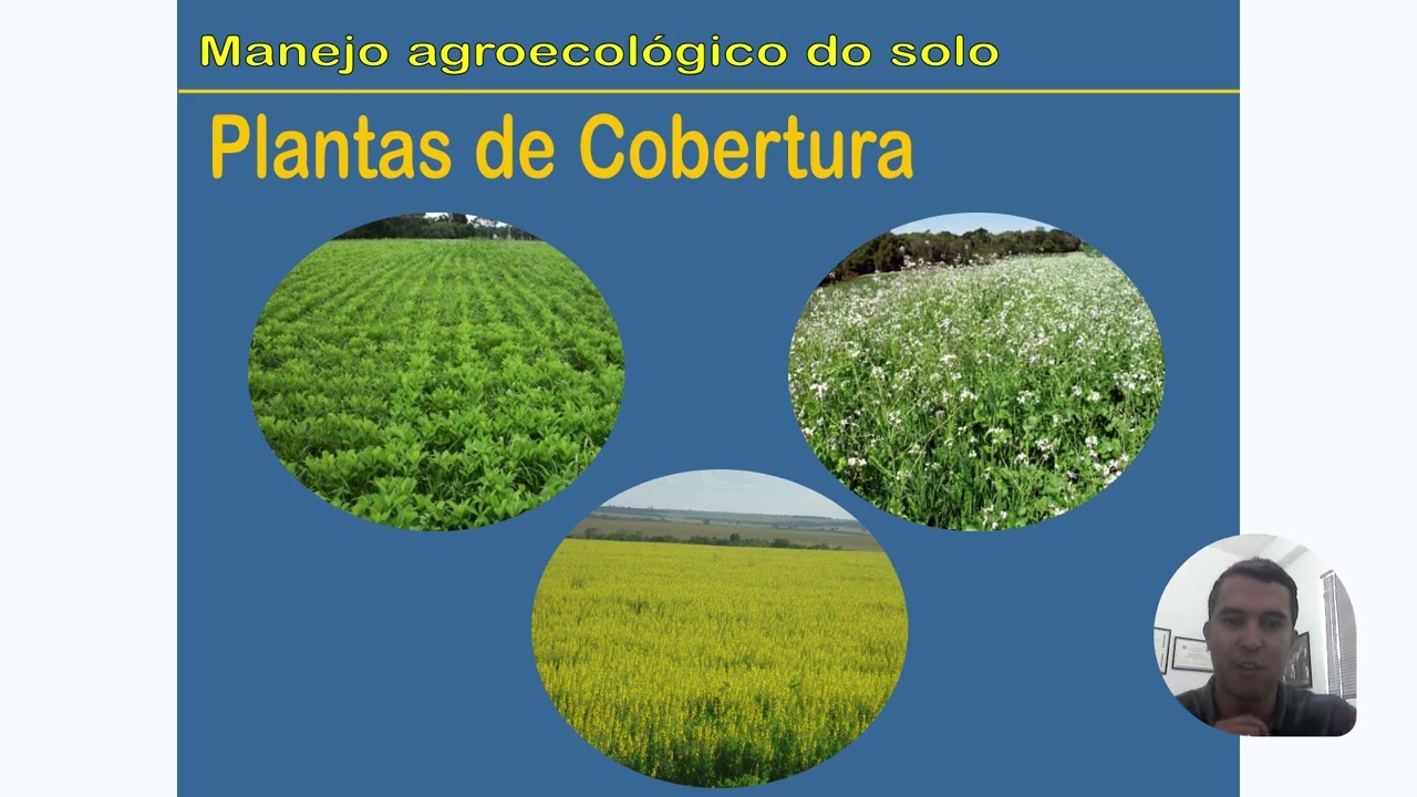 Agricultura Regenerativa no Brasil