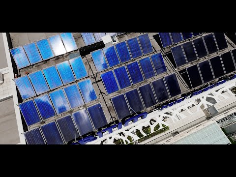 Albena Resort – Energy